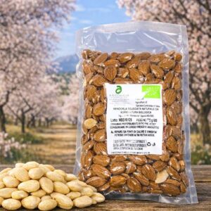 Sizilianische BIO-Mandeln natur mit Haut, ganze Kerne aus Sizilien - Mandorla sgusciata naturale BIO 500g