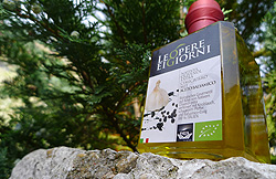 BIO-Olivenöl aus Kalabrien