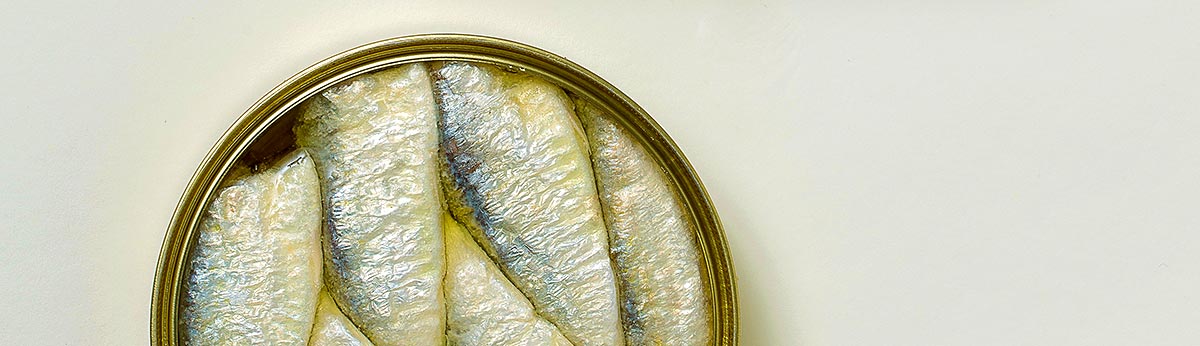 Mittelgroße Sardinen in Olivenöl - Köstliche Rarität (10-15 Stück) 