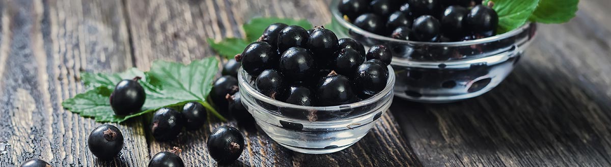 Schwarze Johannisbeeren