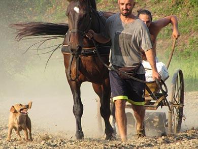 Feldarbeit bei der Cascina Fornace
