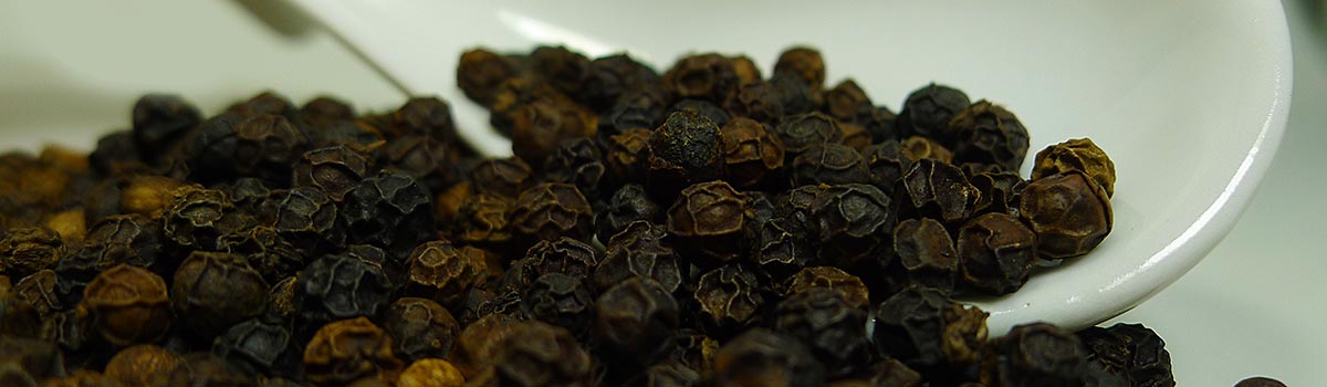 Malabar Pfeffer Schwarz BIO & FAIR - Aromatisch-pikanter aber milder als weißer Pfeffer, Schärfer als grüner Pfeffer, 55g