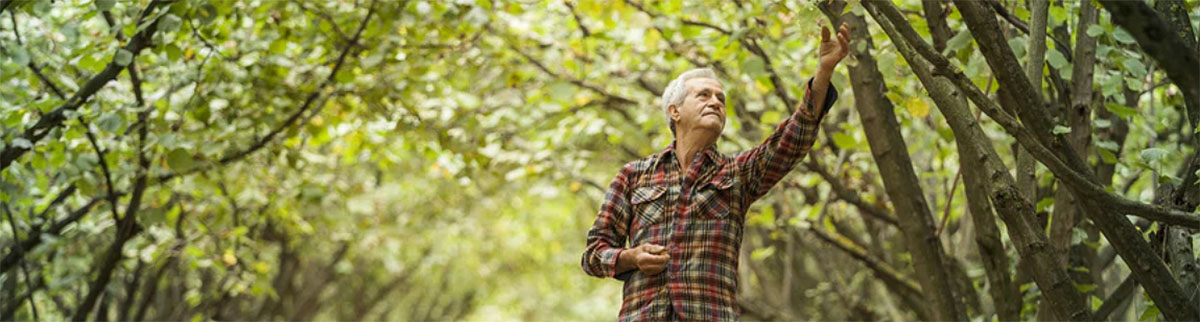 Tastelanghe Azienda Agricola