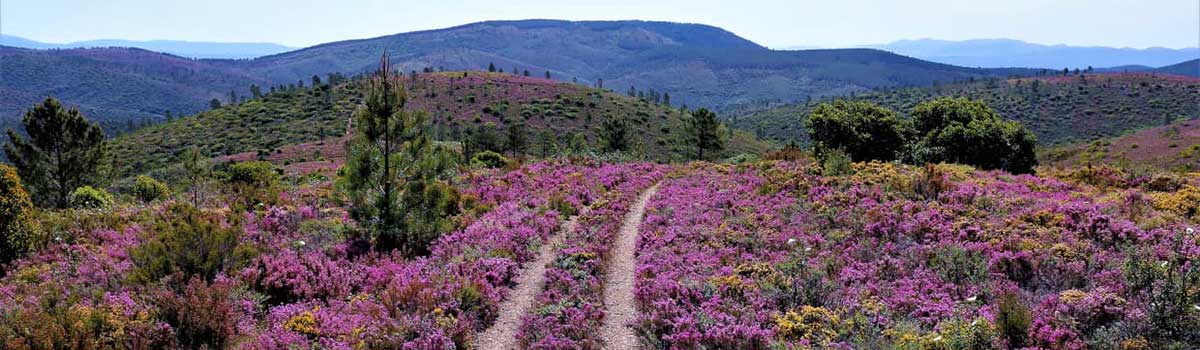 Naturschutzgebiet Serra da Malcata, Portugal