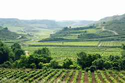 rioja