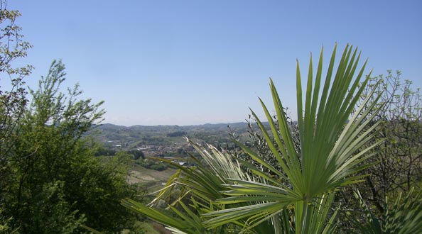 Der Roero - Das Herz des Piemont