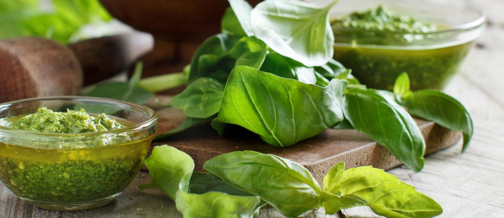 Weltmeister-Pesto von Sergio Muto