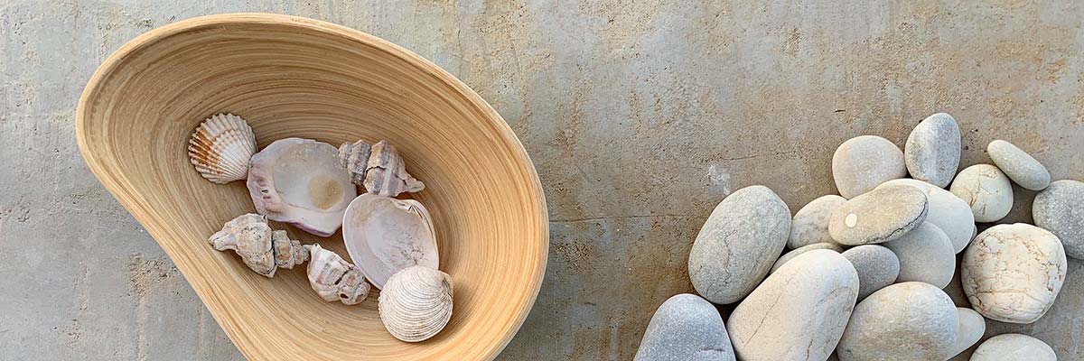 bibol bowls bibol bowls