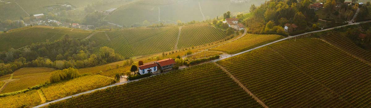 Santo Stefano Roero | Weinberg im Piemont Santo Stefano Roero | Weinberg im Piemont