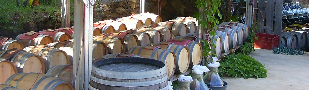 La Vinaigrerie de La Guinelle