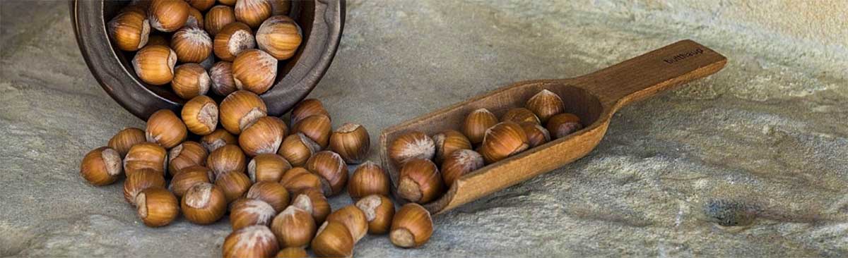 Nocciole Piemonte IGP Nocciole Piemonte IGP