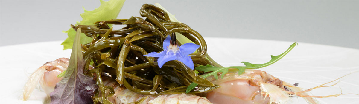 Paccasassi sott´Olio Meerfenchel in nativem Olivenöl extra (Foto: Rinci)