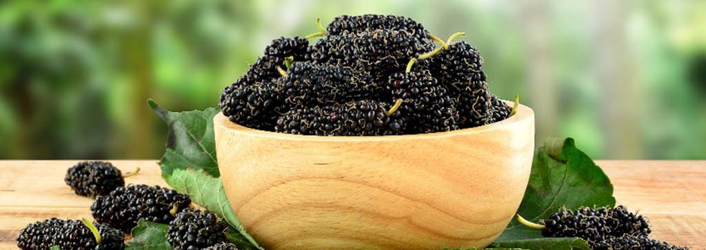 Maulbeeren aus Sizilien